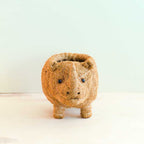 Baby Rhino Planter
