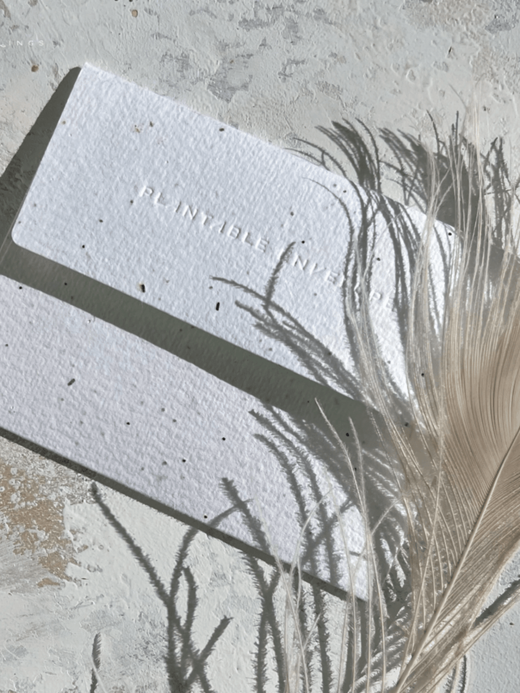 Chic - Seeded Birthday Card - Che Cose Belle