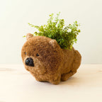 Chow Chow Planter - Che Cose Belle