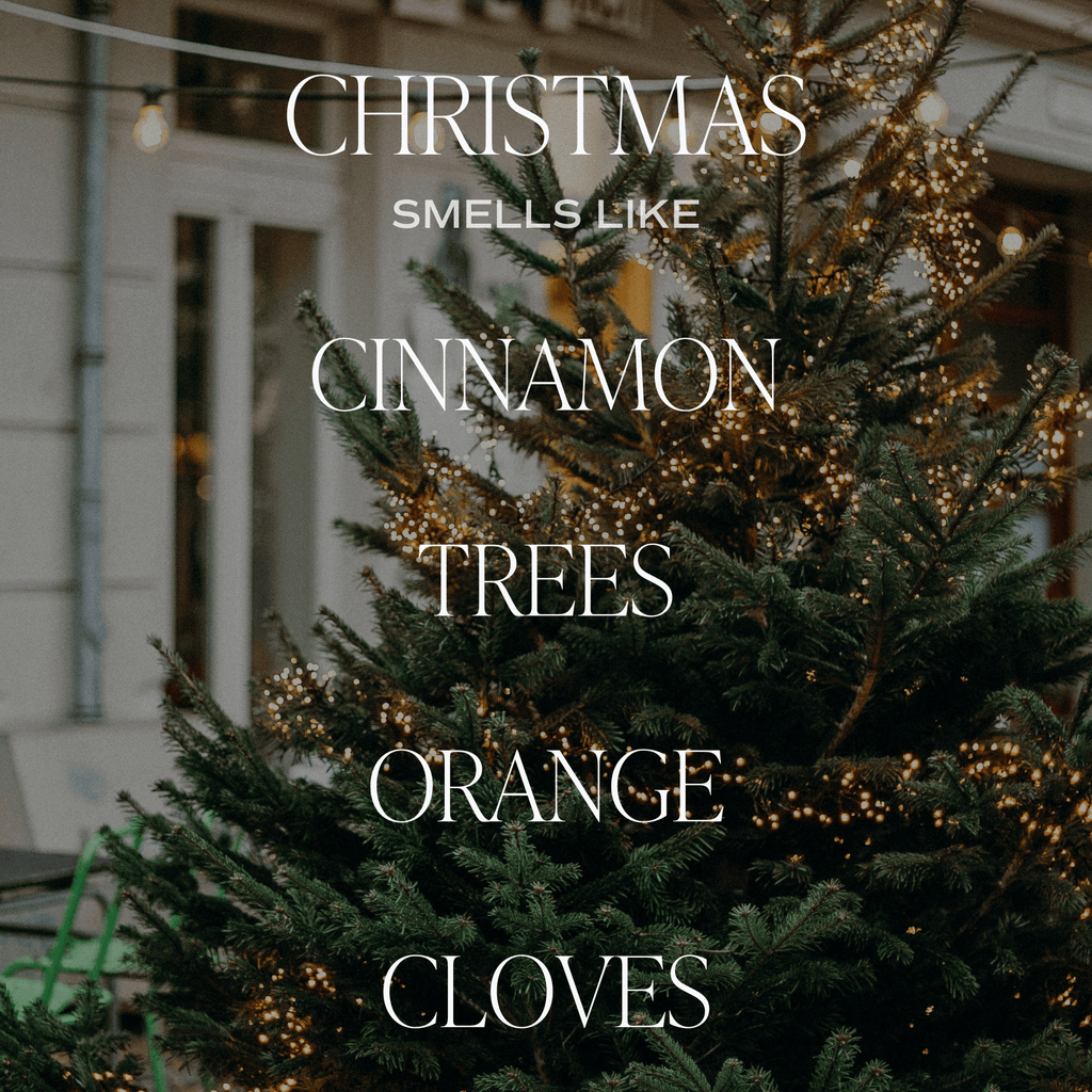 Christmas Candle Gift Box Set (Christmas, Warm and Cozy, Fraser Fir) - Che Cose Belle