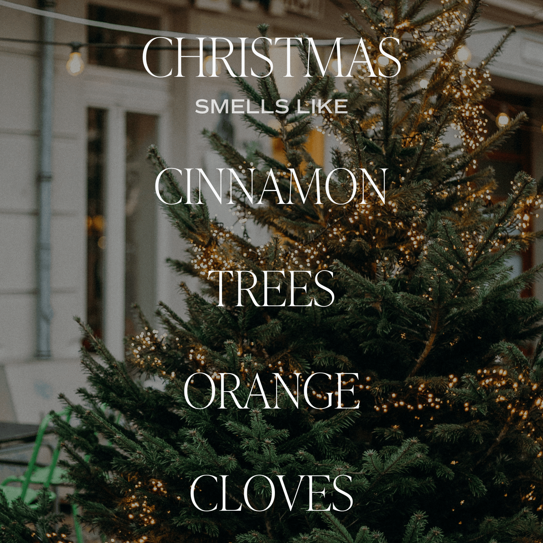 Christmas Candle Gift Box Set (Christmas, Warm and Cozy, Fraser Fir) - Che Cose Belle