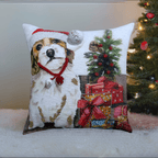 Christmas Decorative Throw Pillow for Christmas 20" x 20" - Che Cose Belle