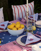 Coastal Americana Stripe Throw Pillow - Che Cose Belle