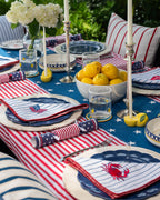Coastal Americana Stripe Throw Pillow - Che Cose Belle