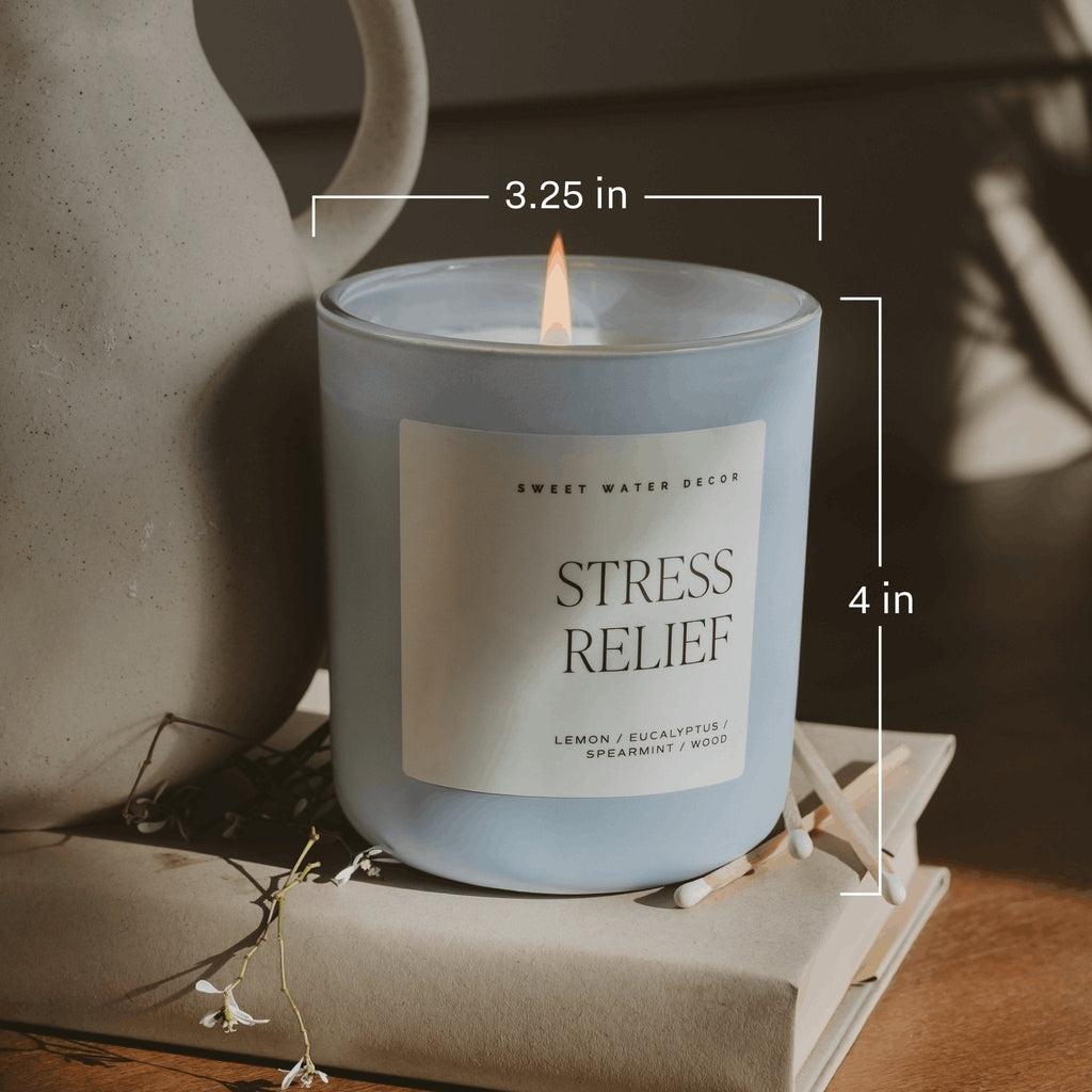 Coastal Lemon Soy Candle - Blue Matte Jar - 15 oz - Che Cose Belle