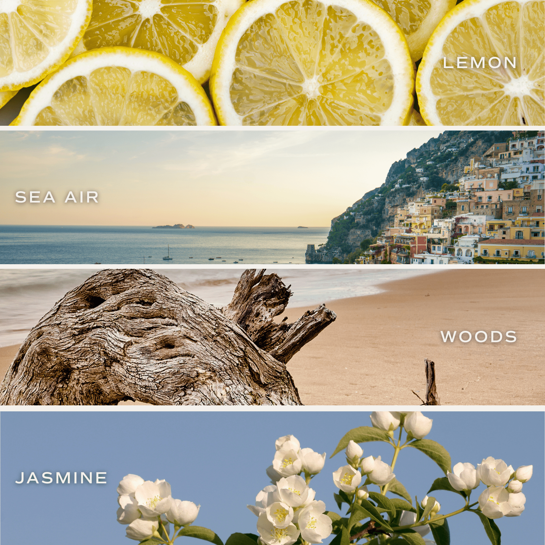 Coastal Lemon Soy Candle - Clear Patterned Jar - 9 oz - Che Cose Belle