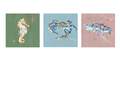 Coastal Love Blue Crab Turtle Seahorse Fine Art Print - Che Cose Belle