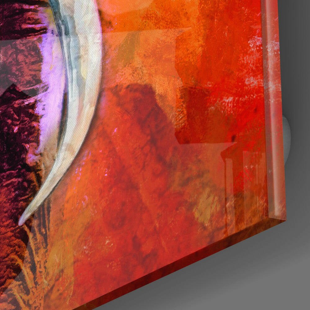 Colorful Elephant Glass Wall Art - Che Cose Belle