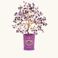 Compassionate Vibration Amethyst February Birthday Tree - Che Cose Belle