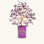 Compassionate Vibration Amethyst February Birthday Tree - Che Cose Belle