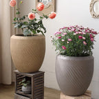 Comtemporary Swirl Planter - Che Cose Belle