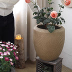Comtemporary Swirl Planter - Che Cose Belle
