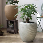 Comtemporary Swirl Planter - Che Cose Belle