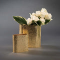 Cosmos Vases - Che Cose Belle