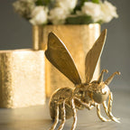 Cosmos Vases - Che Cose Belle