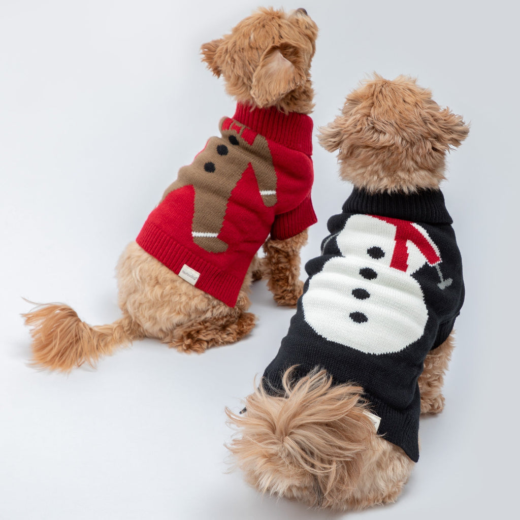 Cozy Christmas Pet Sweater - Che Cose Belle