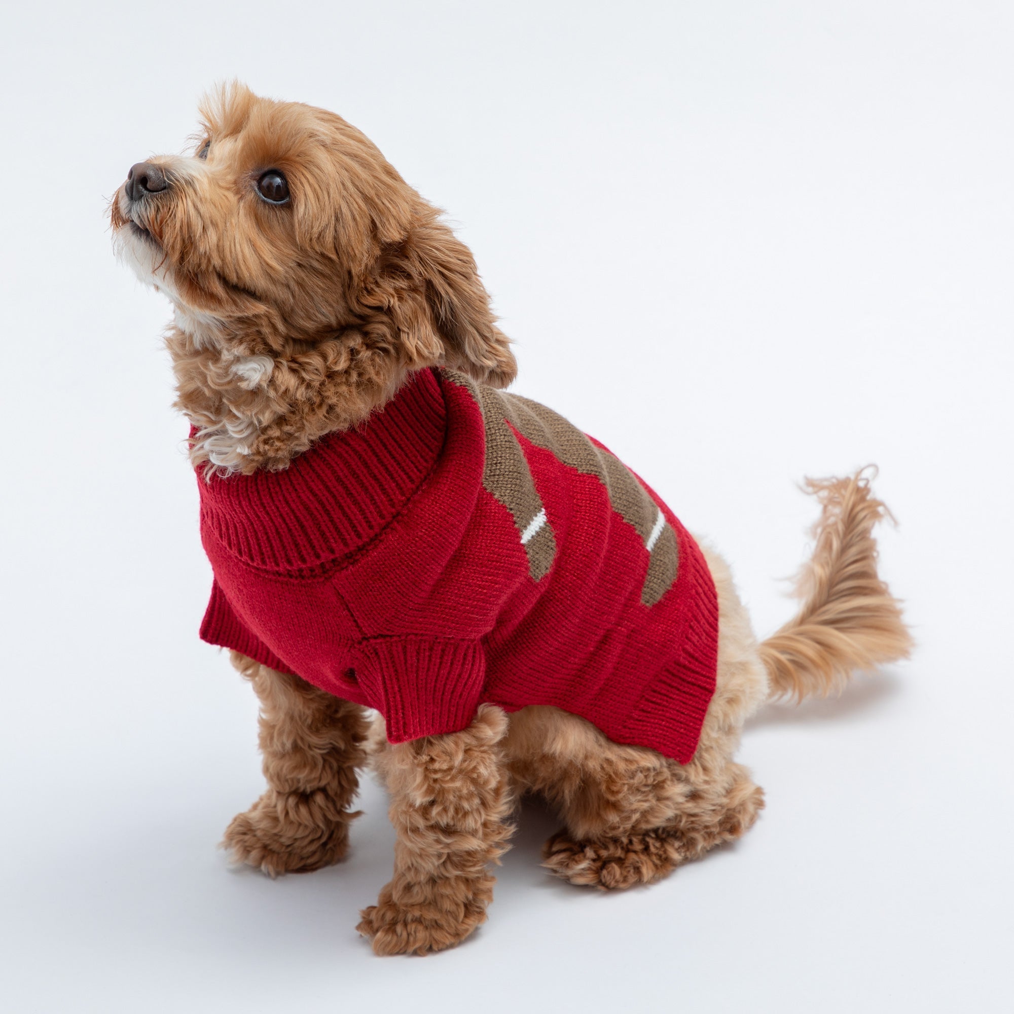 Cozy Christmas Pet Sweater - Che Cose Belle