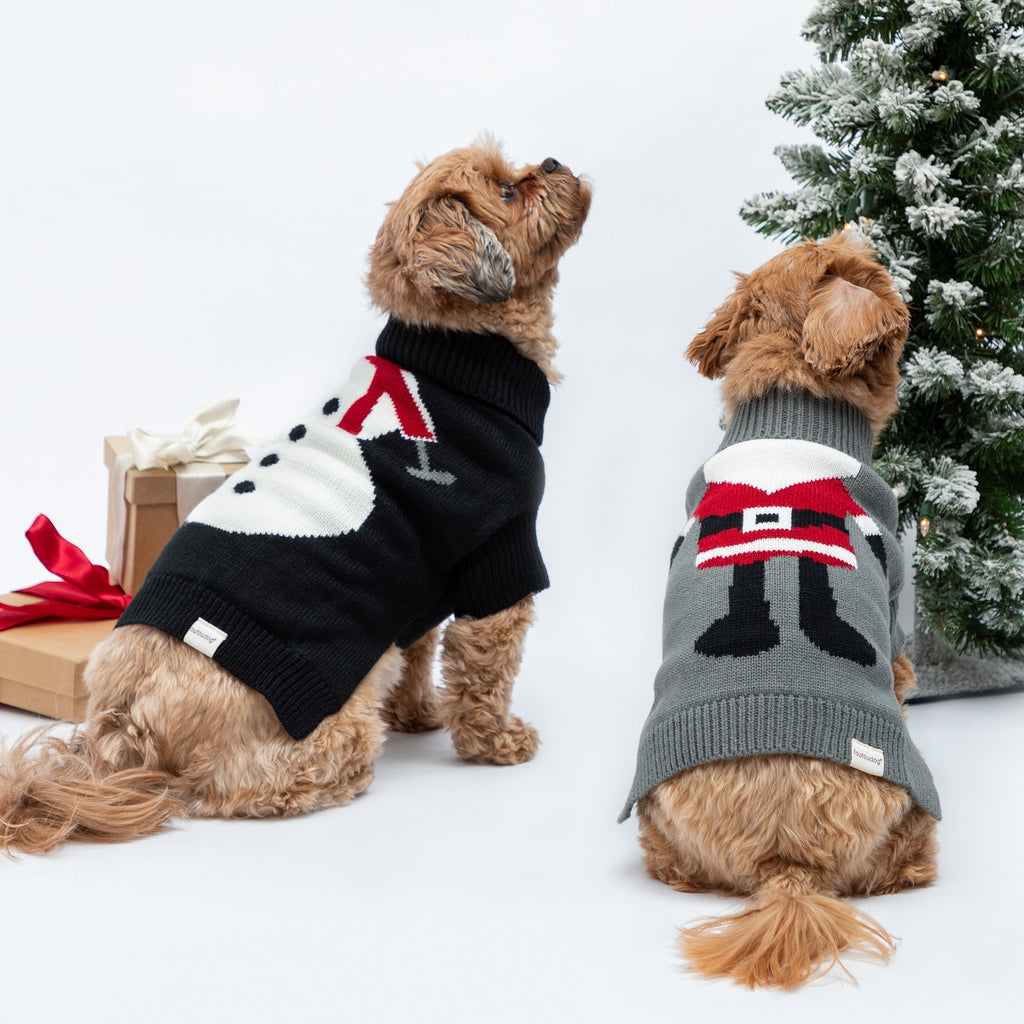 Cozy Christmas Pet Sweater - Che Cose Belle