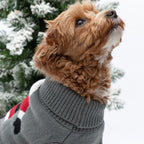 Cozy Christmas Pet Sweater - Che Cose Belle