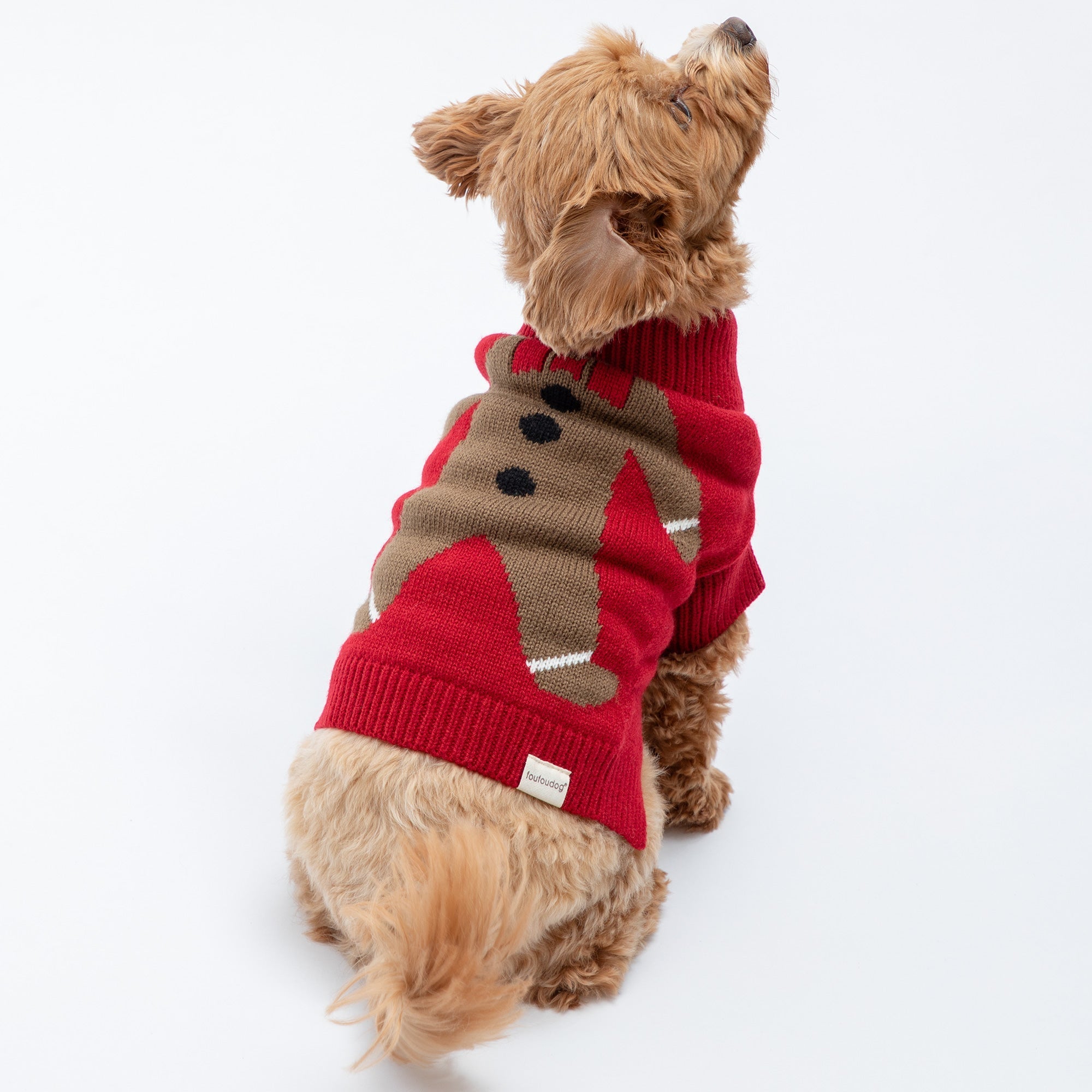 Cozy Christmas Pet Sweater - Che Cose Belle