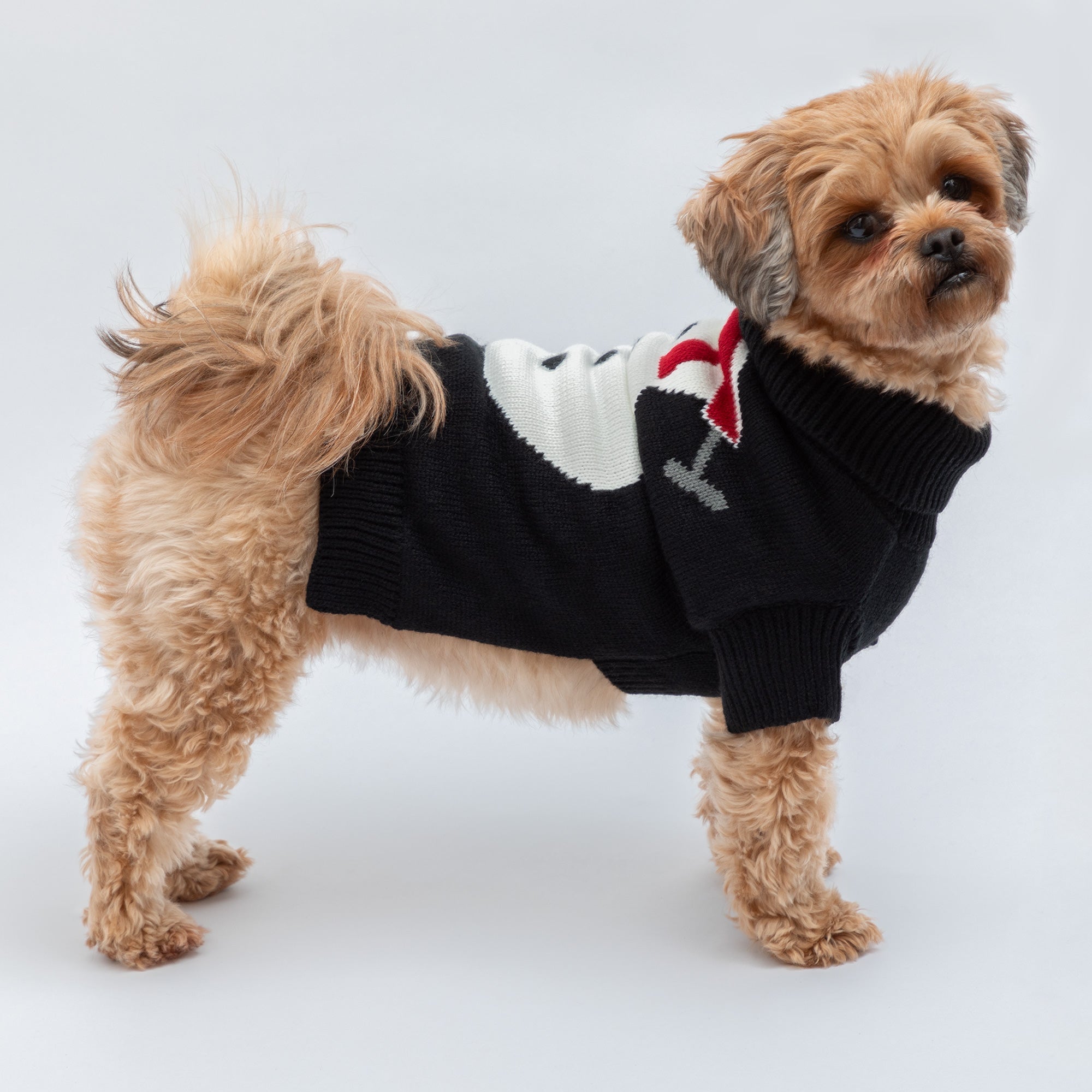 Cozy Christmas Pet Sweater - Che Cose Belle