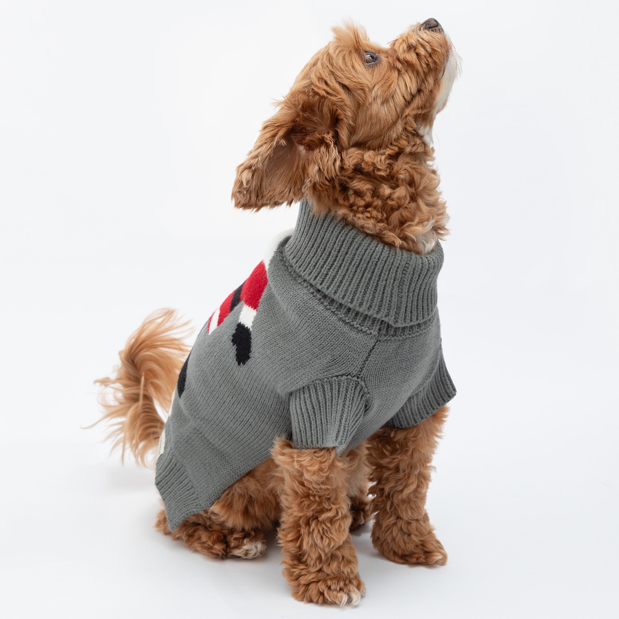 Cozy Christmas Pet Sweater - Che Cose Belle