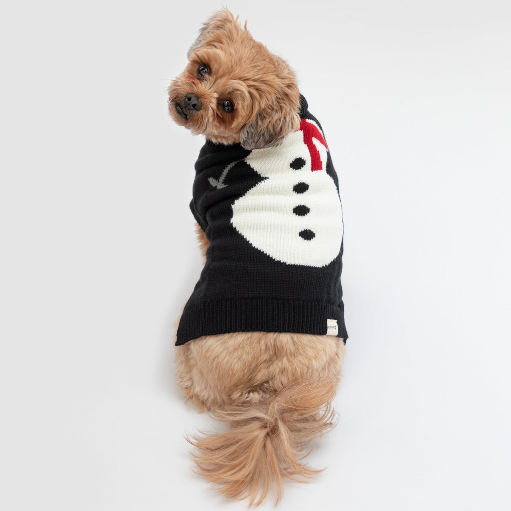 Cozy Christmas Pet Sweater - Che Cose Belle