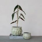 Crackle Glaze Green Terrazzo Terracotta Planter - Che Cose Belle