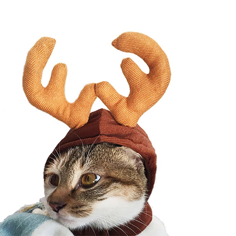 Cute Dog Cat Costume Christmas Cloak Halloween Disguise Cat - Che Cose Belle