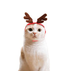 Cute Dog Cat Costume Christmas Cloak Halloween Disguise Cat - Che Cose Belle