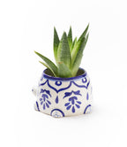 Lalita Mama Turtle Succulent Planter - White, Blue Hand Painted