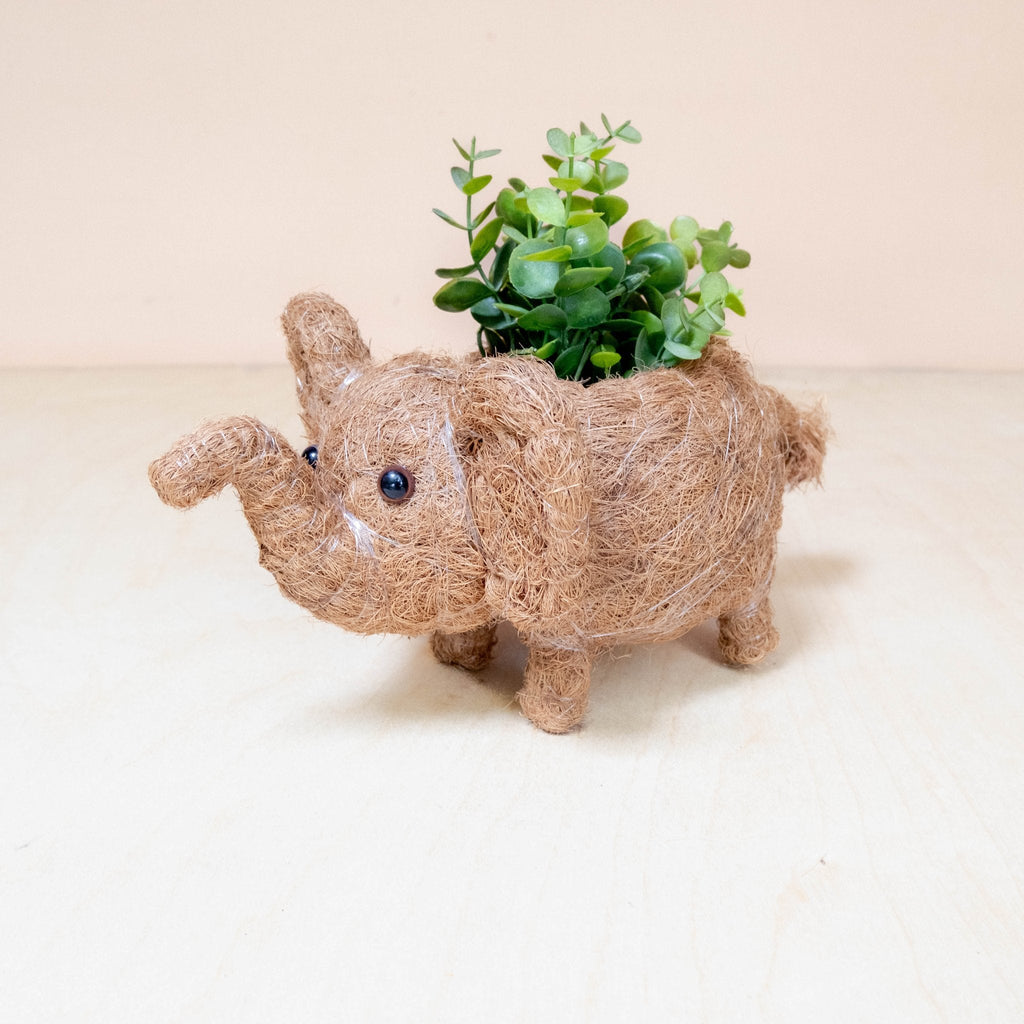 Baby Elephant Planter