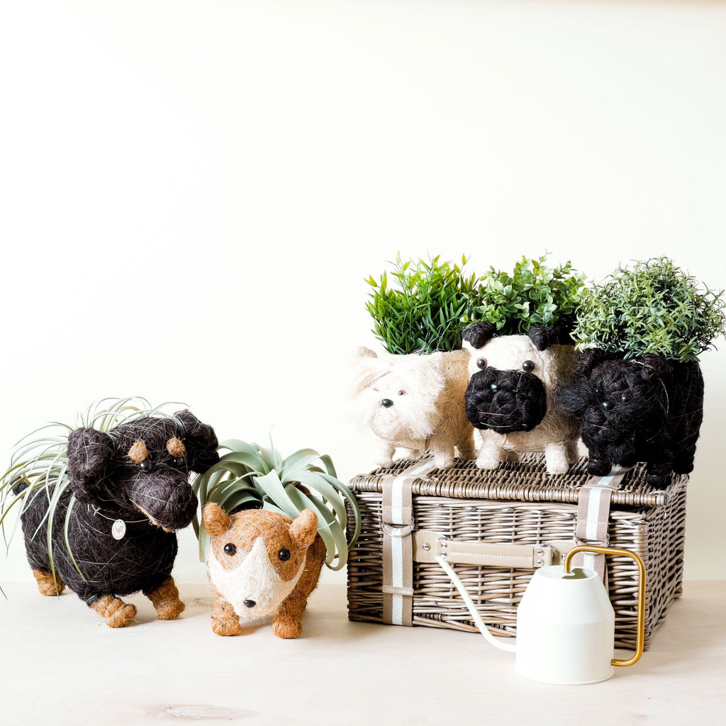 Dachshund Dog Planter - Coco Planter - Che Cose Belle
