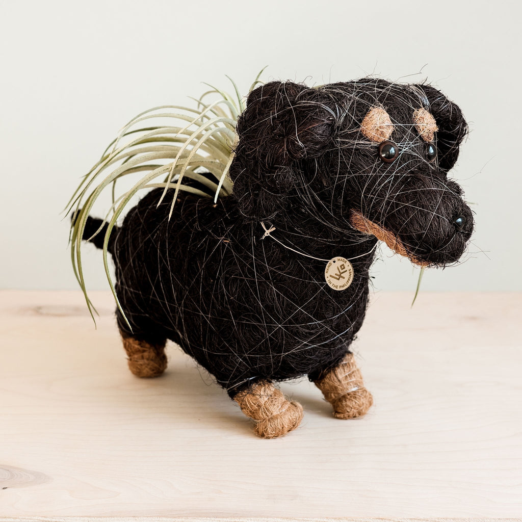 Dachshund Dog Planter - Coco Planter - Che Cose Belle