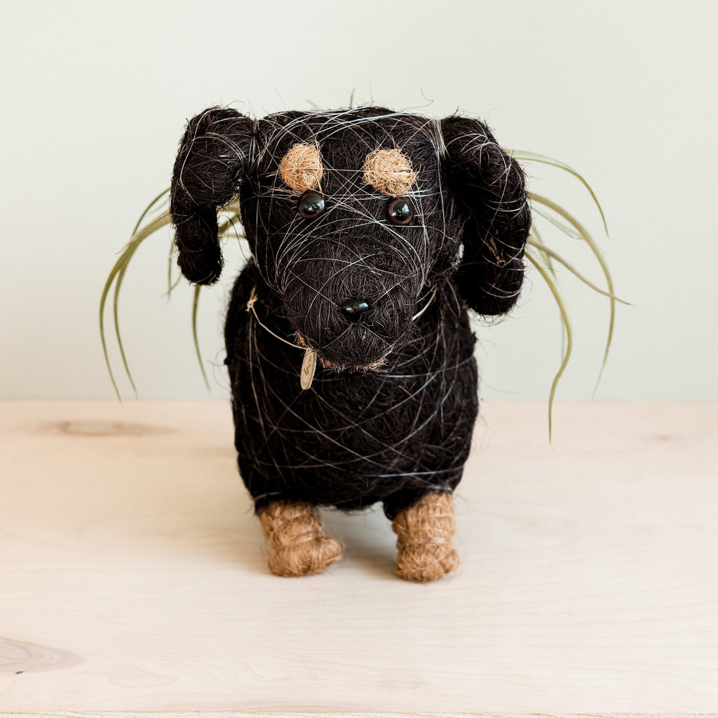 Dachshund Dog Planter - Coco Planter - Che Cose Belle