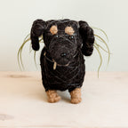 Dachshund Dog Planter - Coco Planter - Che Cose Belle