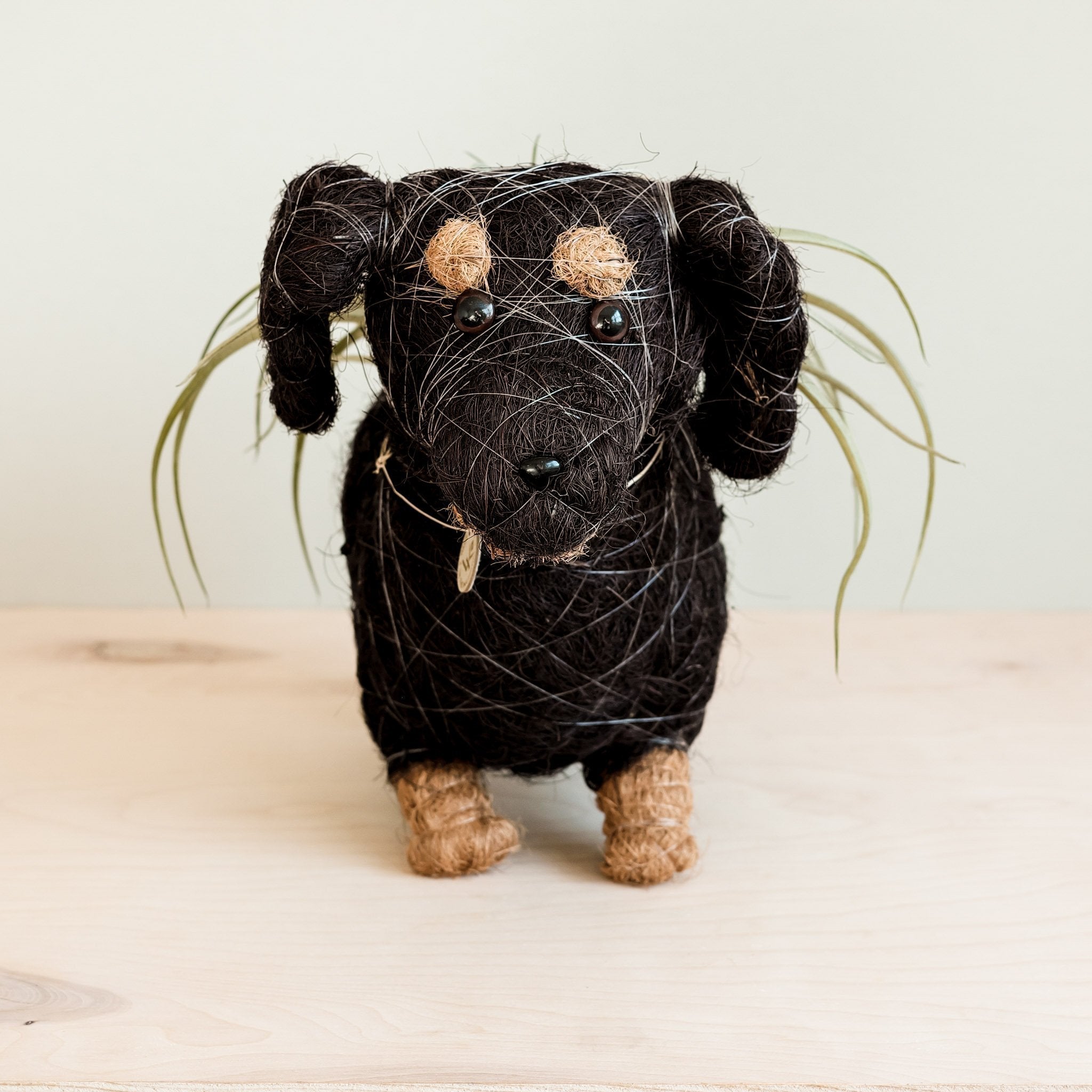 Dachshund Dog Planter - Coco Planter - Che Cose Belle