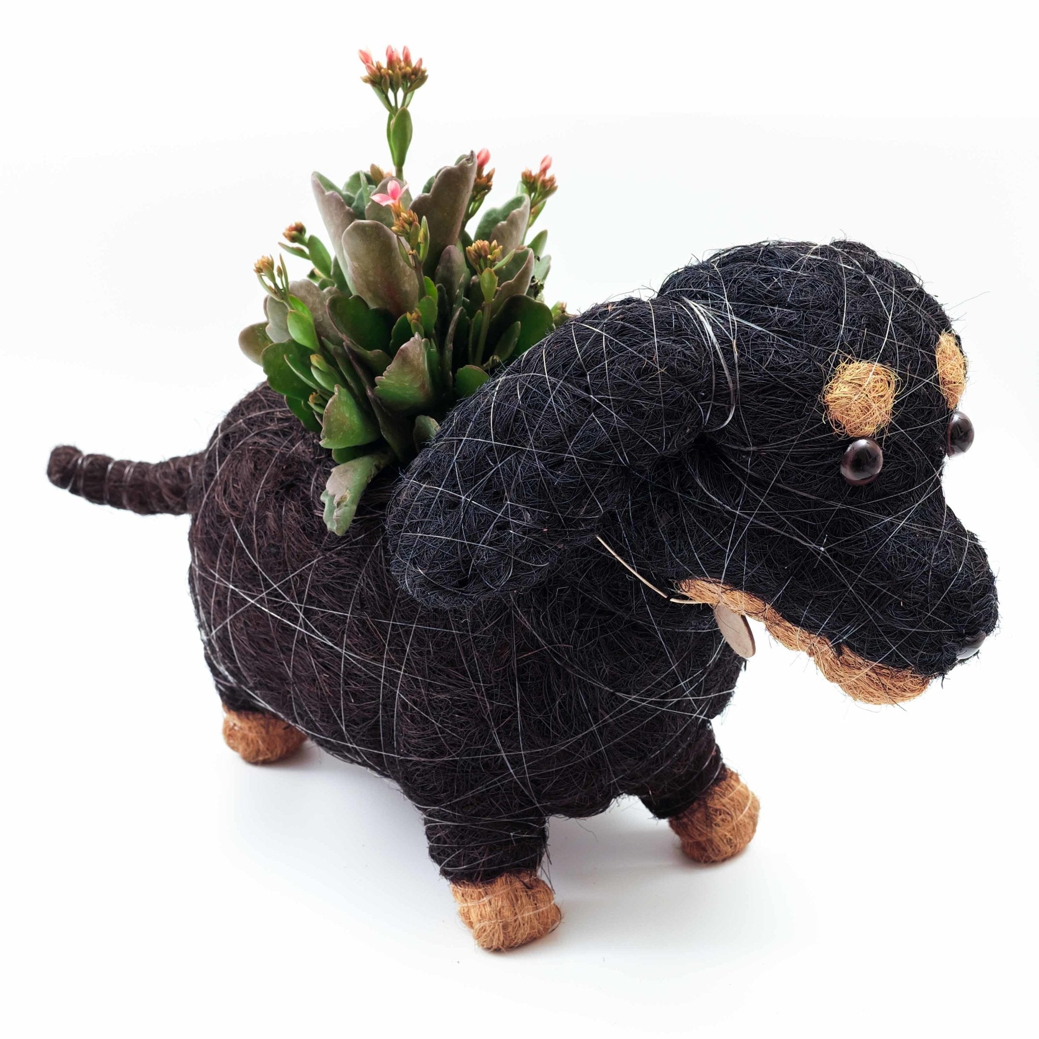 Dachshund Dog Planter - Coco Planter - Che Cose Belle