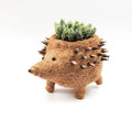 Hedgehog Planter - Coco Planter