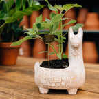 Llama Terracotta Planter