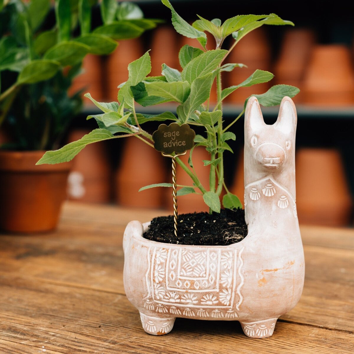 Llama Terracotta Planter