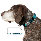 Dog Bone Seatbelt Buckle Collar - BUCKLE - DOWN Shapes Dot Turquoise/White/Black - Che Cose Belle