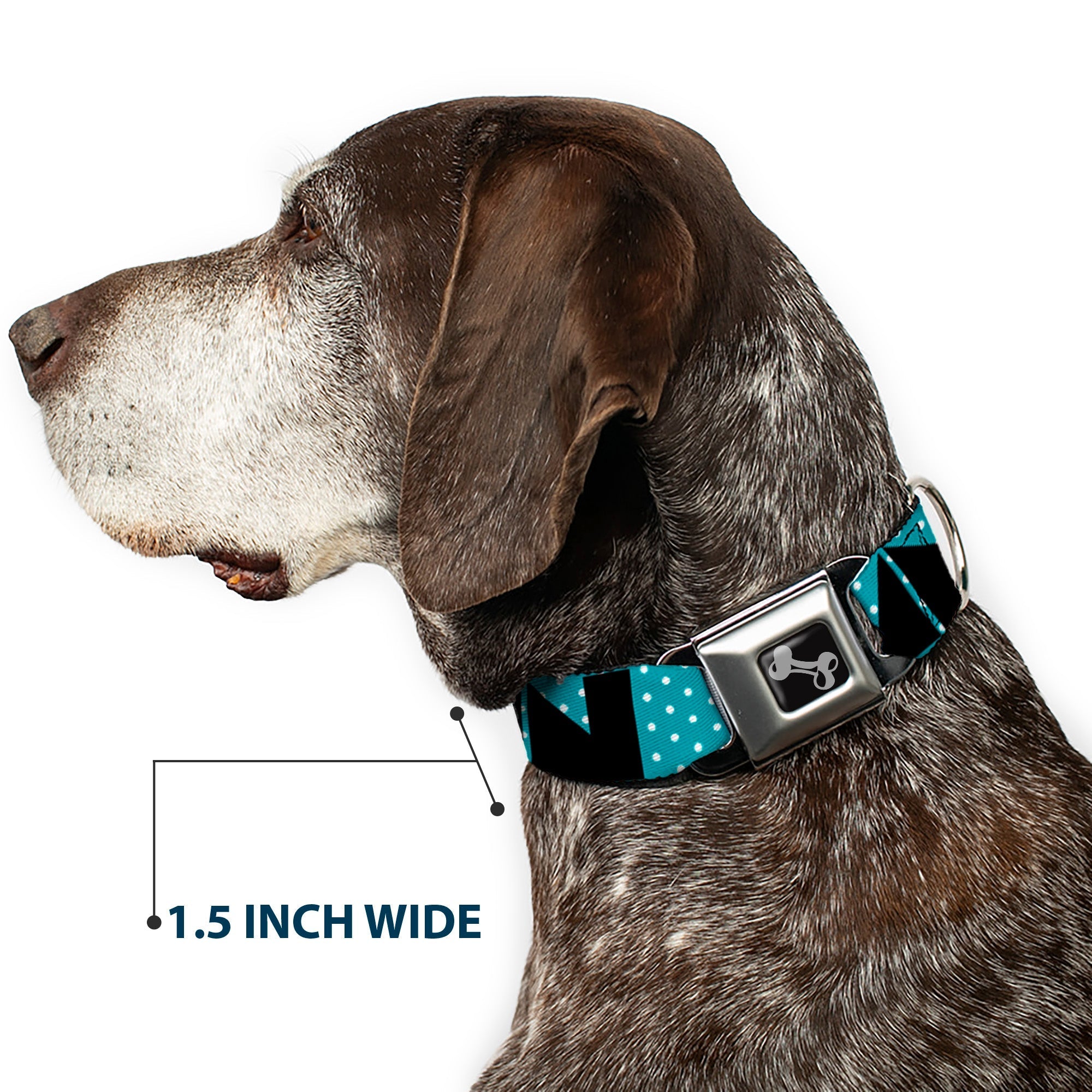 Dog Bone Seatbelt Buckle Collar - BUCKLE - DOWN Shapes Dot Turquoise/White/Black - Che Cose Belle