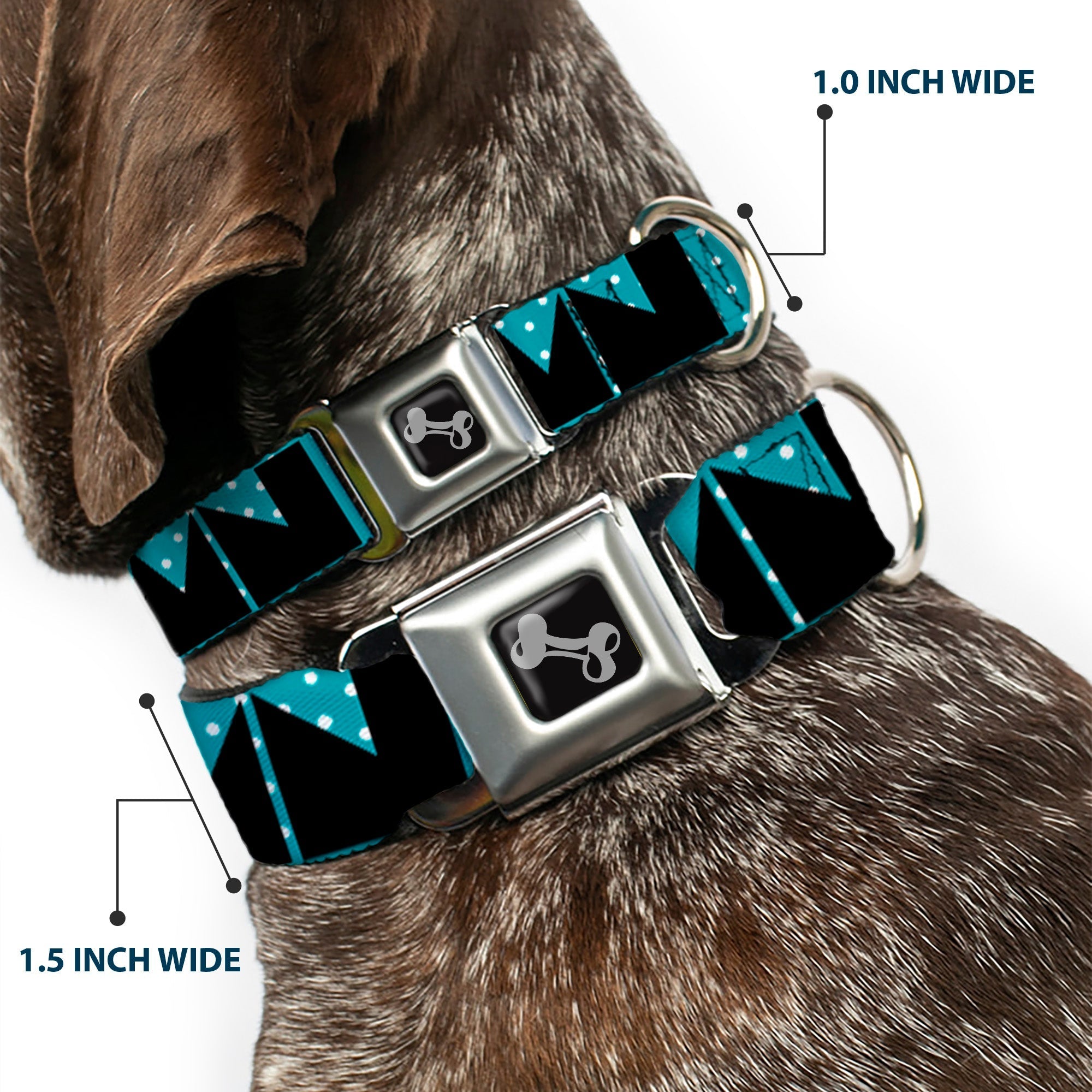 Dog Bone Seatbelt Buckle Collar - BUCKLE - DOWN Shapes Dot Turquoise/White/Black - Che Cose Belle