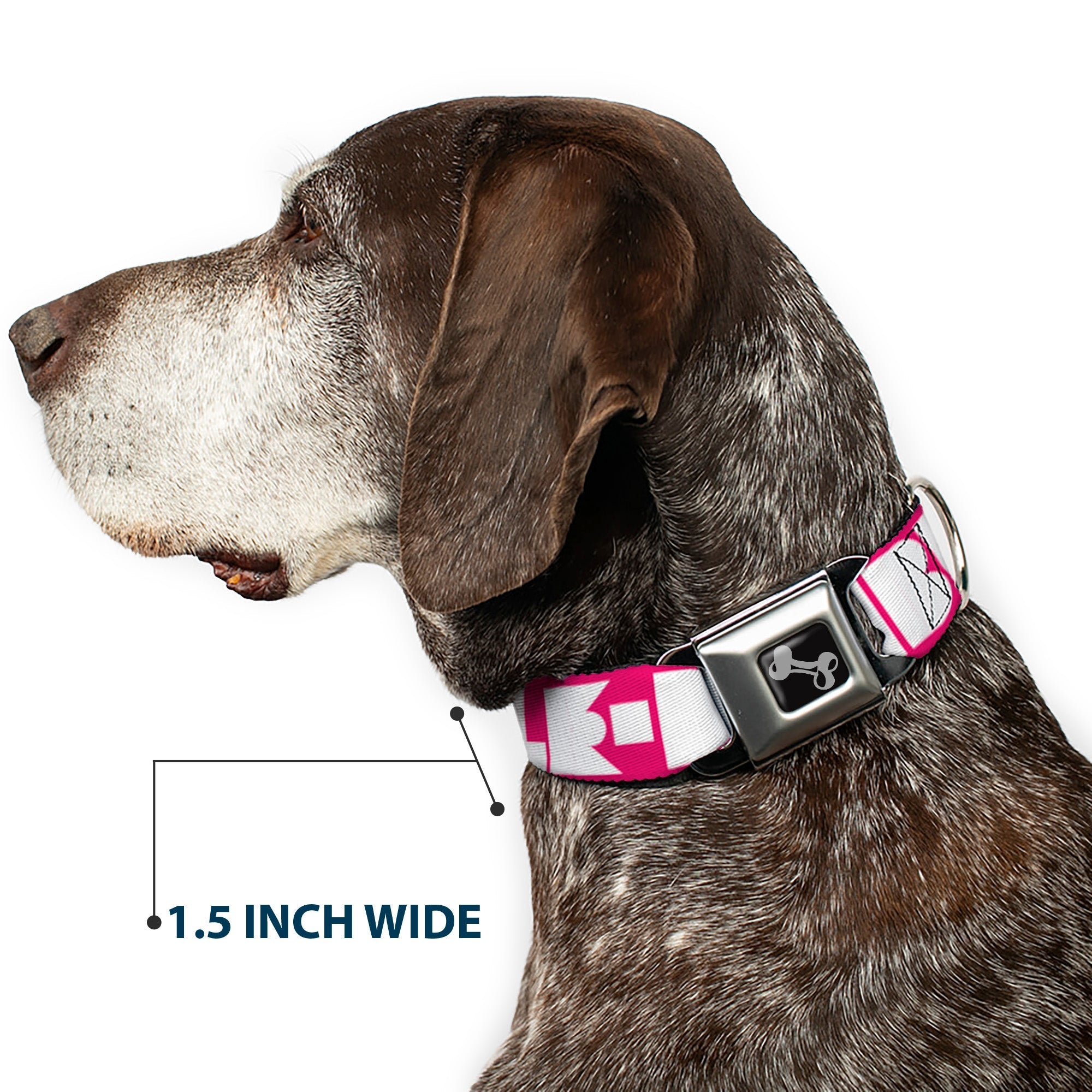 Dog Bone Seatbelt Buckle Collar - BUCKLE - DOWN Shapes Hot Pink/White - Che Cose Belle