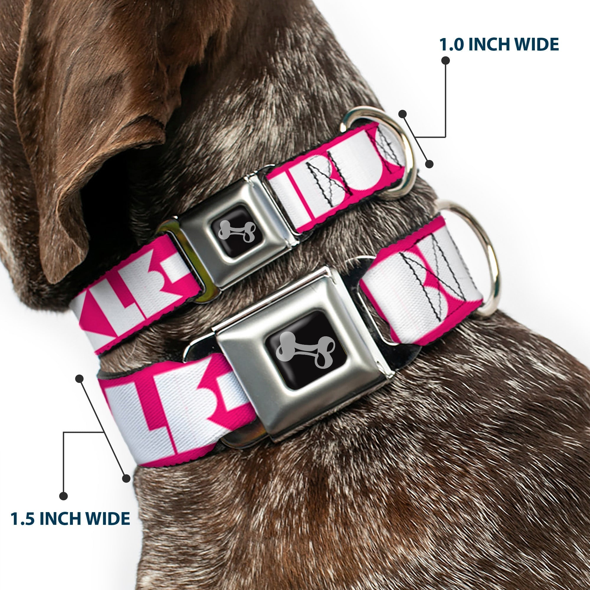 Dog Bone Seatbelt Buckle Collar - BUCKLE - DOWN Shapes Hot Pink/White - Che Cose Belle