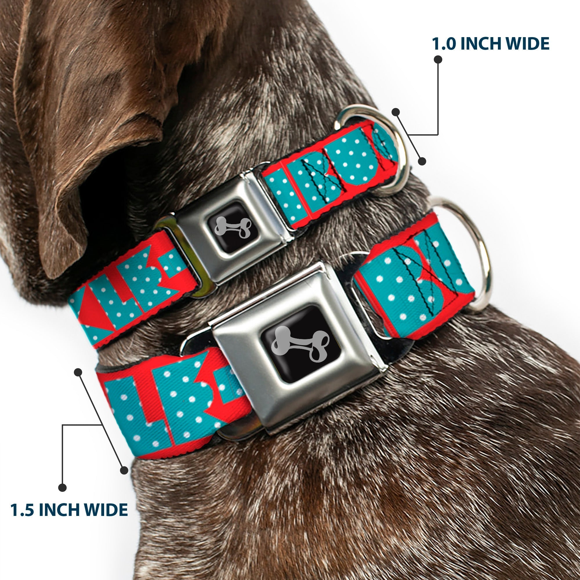 Dog Bone Seatbelt Buckle Collar - BUCKLE - DOWN Shapes Red/Dot Turquoise/White - Che Cose Belle