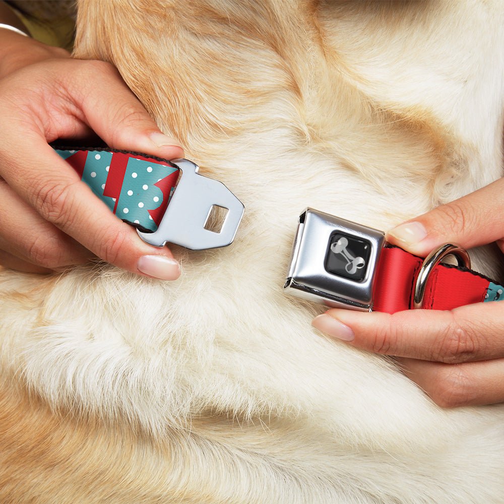 Dog Bone Seatbelt Buckle Collar - BUCKLE - DOWN Shapes Red/Dot Turquoise/White - Che Cose Belle