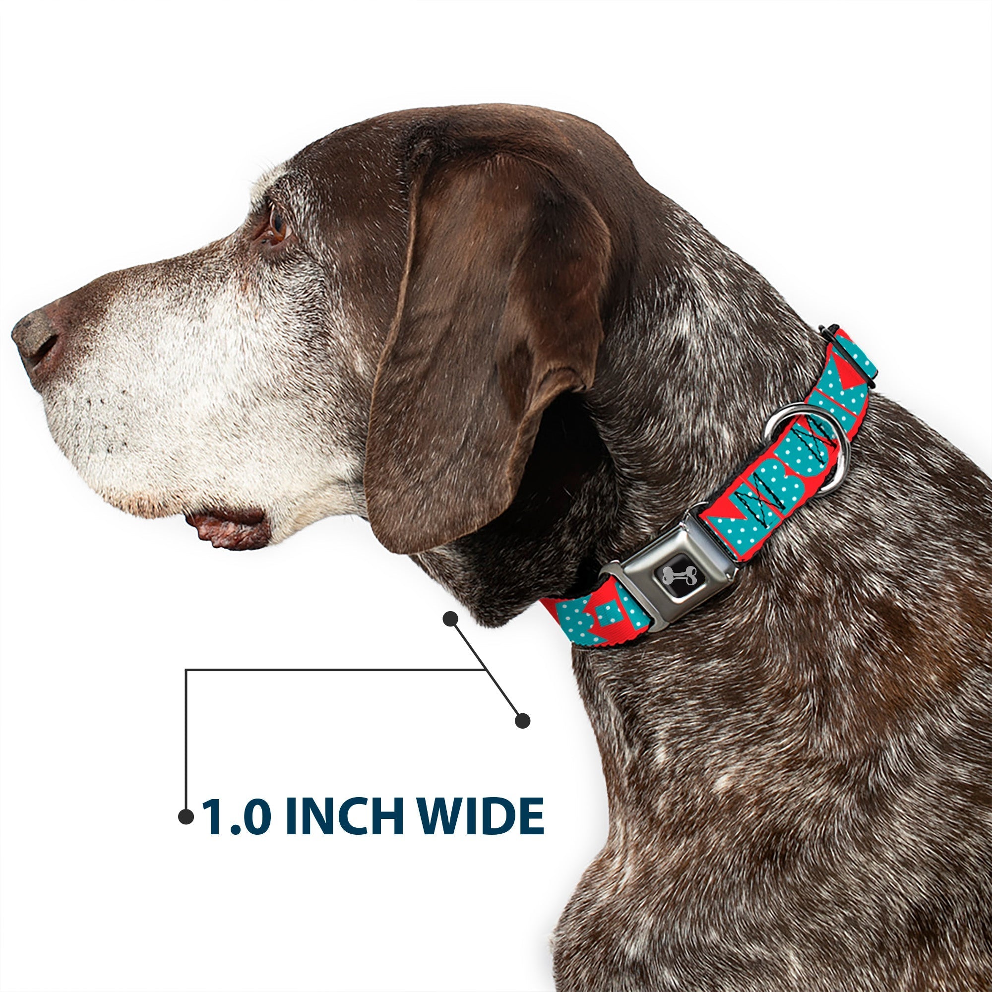 Dog Bone Seatbelt Buckle Collar - BUCKLE - DOWN Shapes Red/Dot Turquoise/White - Che Cose Belle