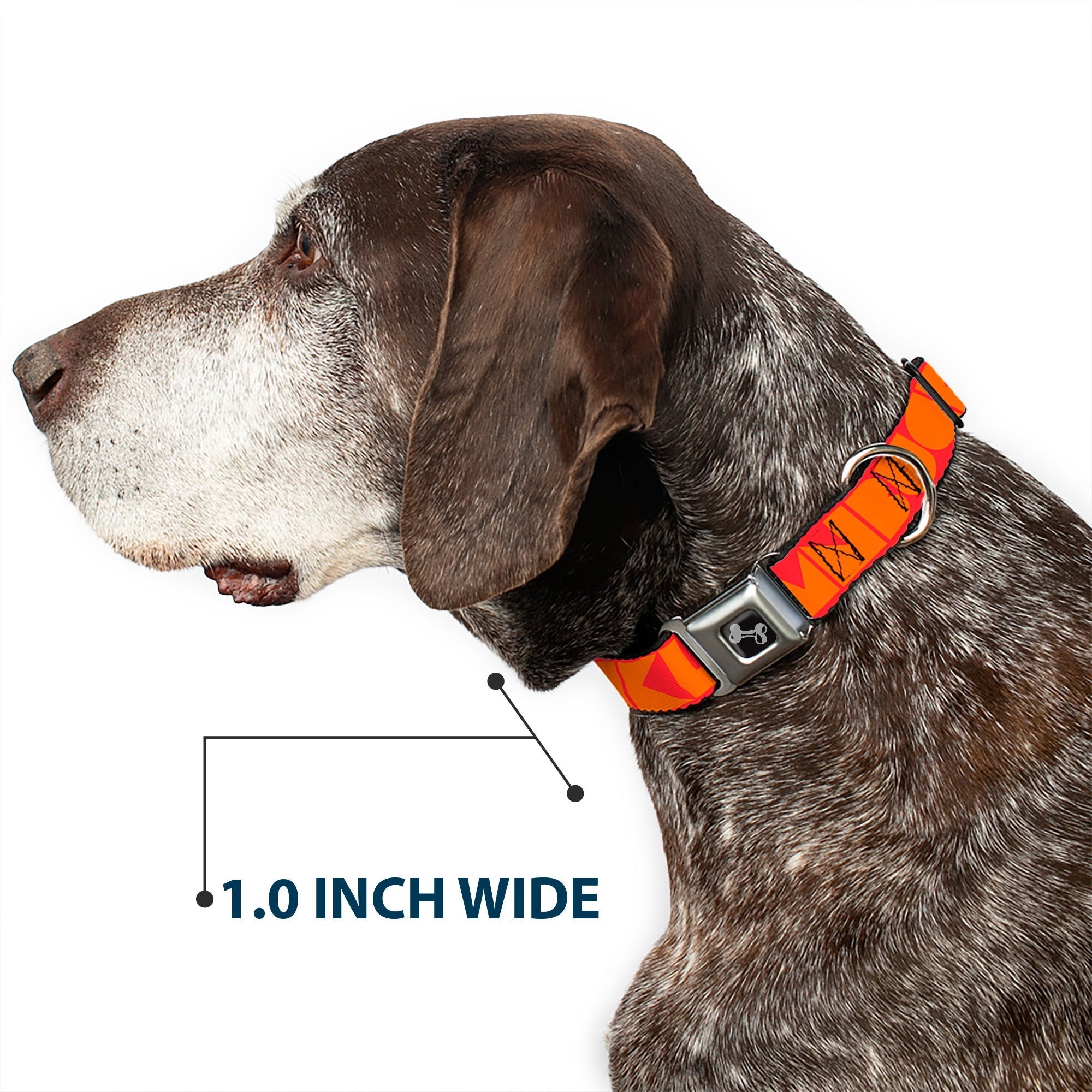 Dog Bone Seatbelt Buckle Collar - BUCKLE - DOWN Shapes Red/Orange - Che Cose Belle